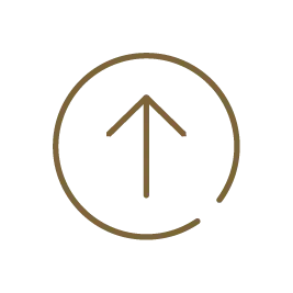 Connectivity and Upgrades