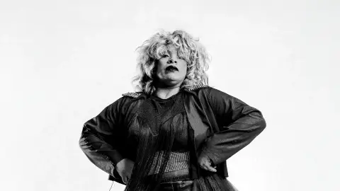 Tributo a Tina Turner