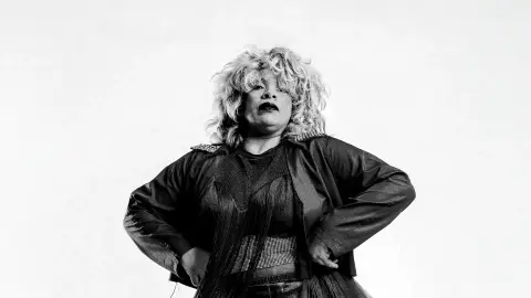 Tributo a Tina Turner
